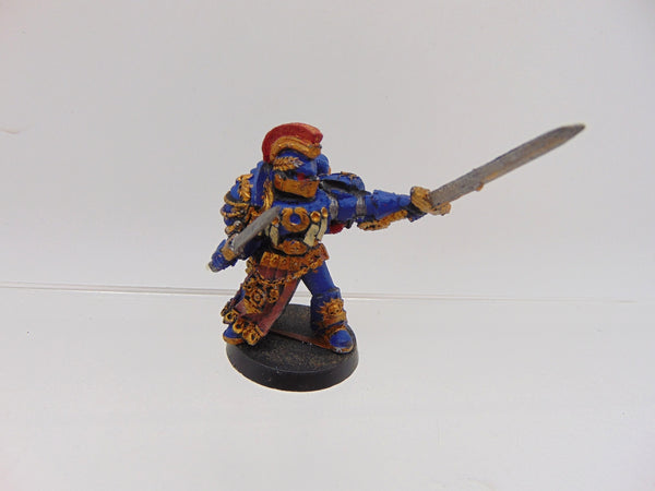 Chapter Champion