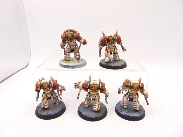 Cataphractii Terminators