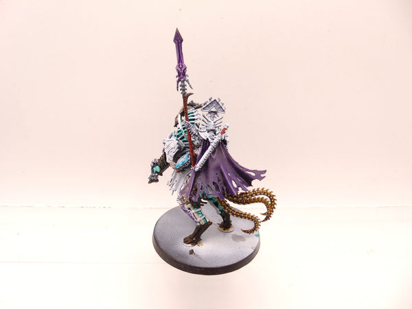 Arch Kavalos Patru Zandtos