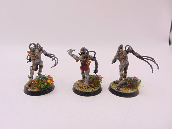 Arco Flagellants