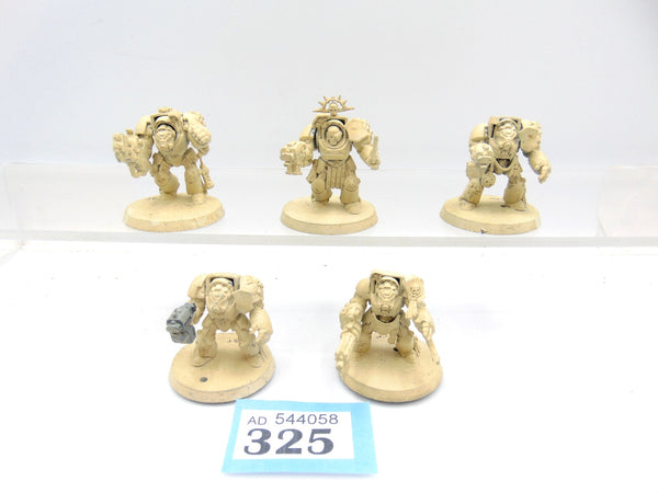 Terminator Squad