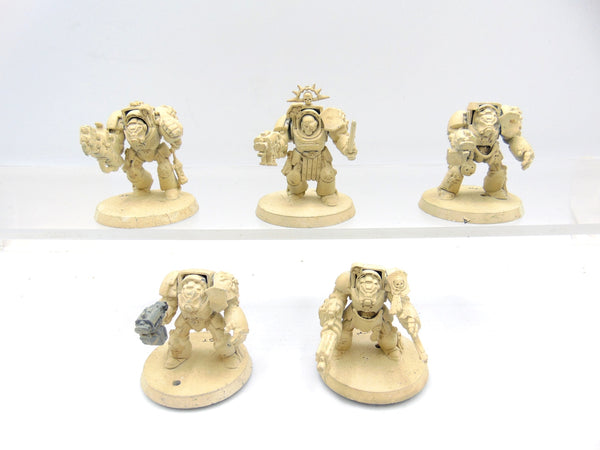 Terminator Squad