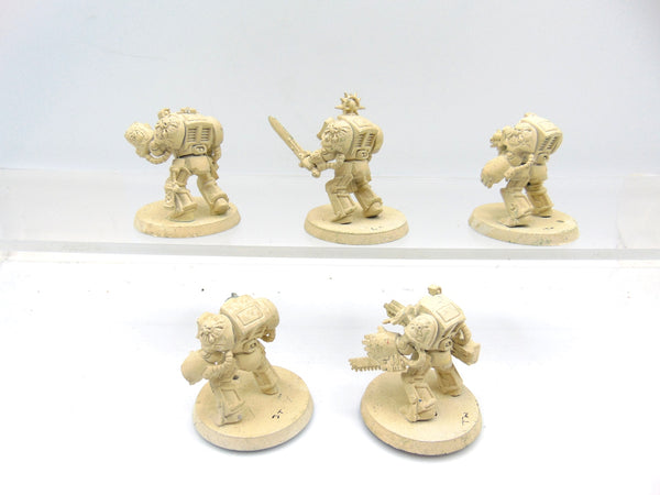 Terminator Squad