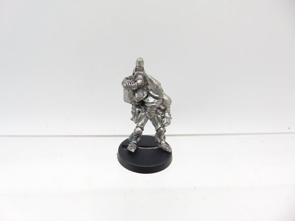 RT04 Space Elves Belgae Strongwill