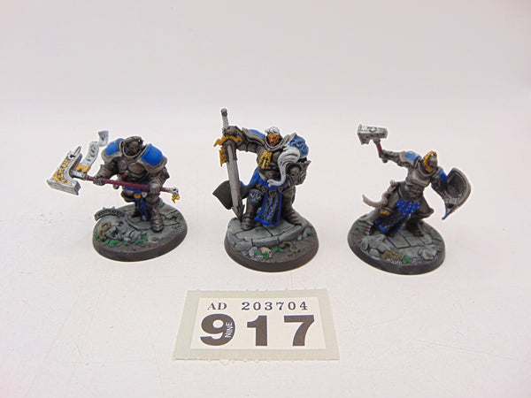 Steelheart's Champions
