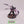 Screamer Killer