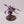 Screamer Killer