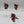 Bladeguard Veterans