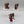 Bladeguard Veterans