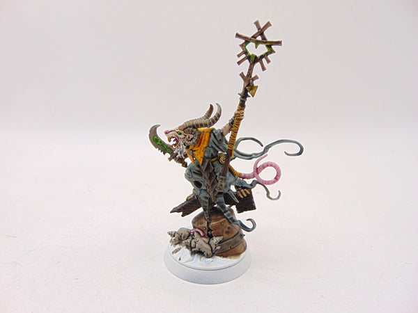 Grey Seer