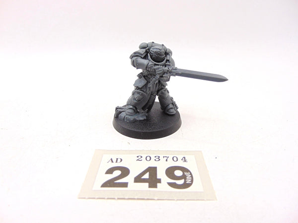 Primaris Company Champion