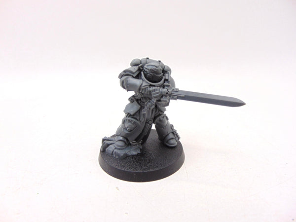Primaris Company Champion