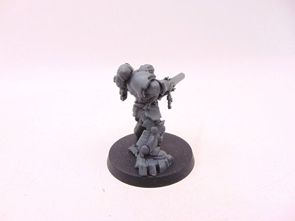 Primaris Company Champion