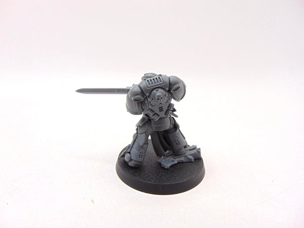 Primaris Company Champion