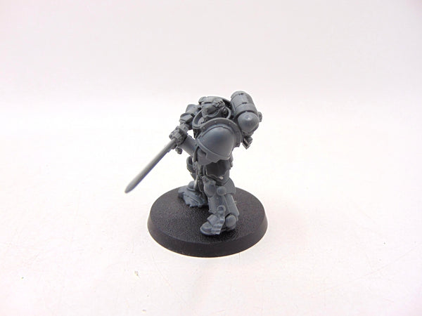 Primaris Company Champion