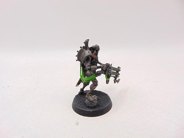 Royal Warden