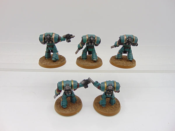 Cataphractii Terminator Squad