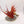 Terrorgheist