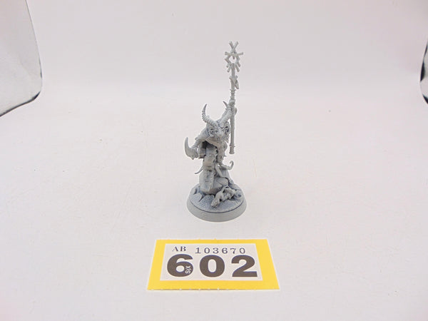 Grey Seer