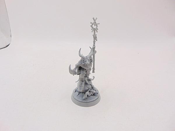 Grey Seer