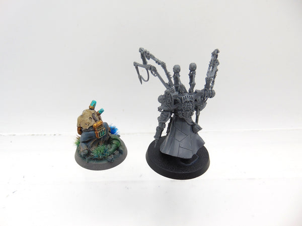 Fabius Bile