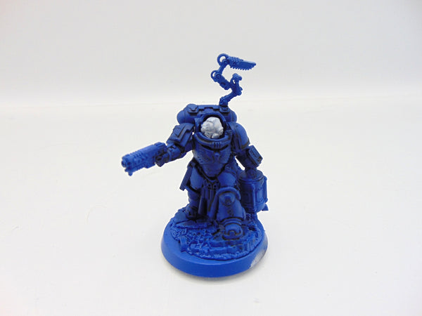 Apothecary Biologis