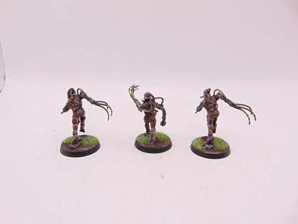 Arco Flagellants