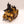 Immolator