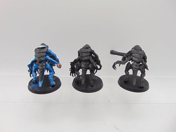 Hive Guard Conversions