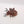 Canoptek Tomb Spyder