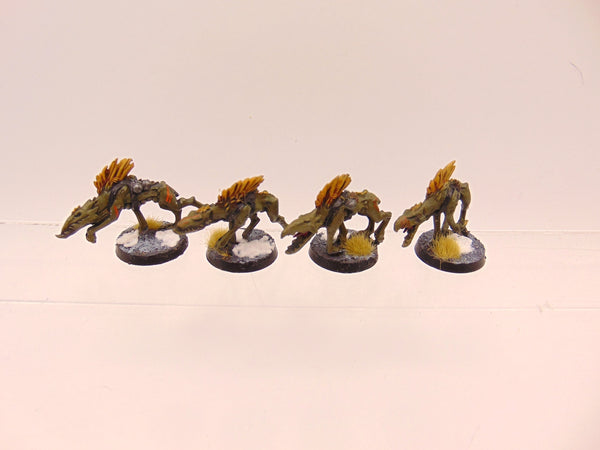 Kroot Hounds