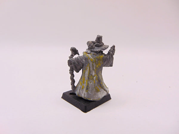 Citadel C02 Wizard Aygar Mistletaine