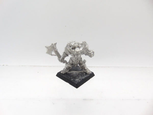 Champion of Nurgle with Axe