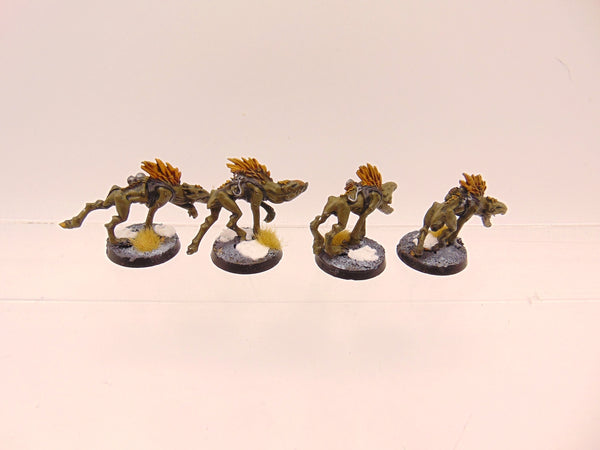 Kroot Hounds