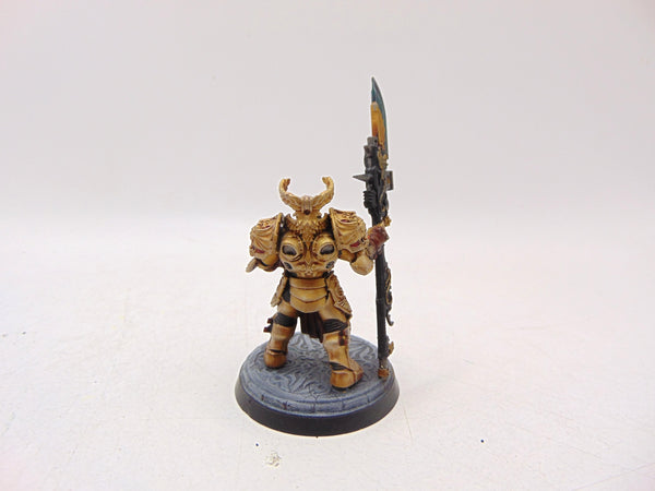 Shield Captain Valerian
