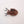 Canoptek Tomb Spyder