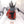 Stompa