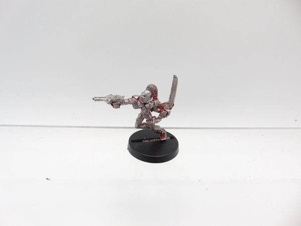 Harlequin Trouper