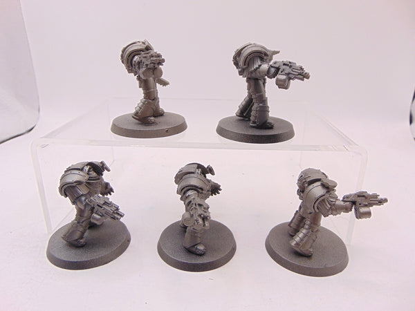 Cataphractii Terminator Squad