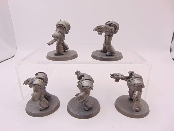 Cataphractii Terminator Squad