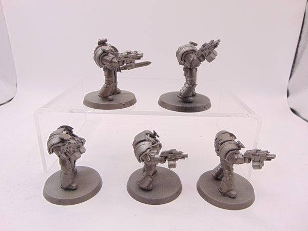 Cataphractii Terminator Squad