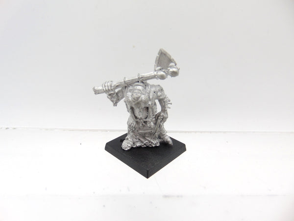 Champion of Nurgle Fly Mutation & Axe