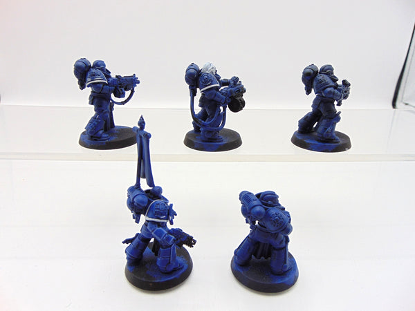 Sternguard Veterans