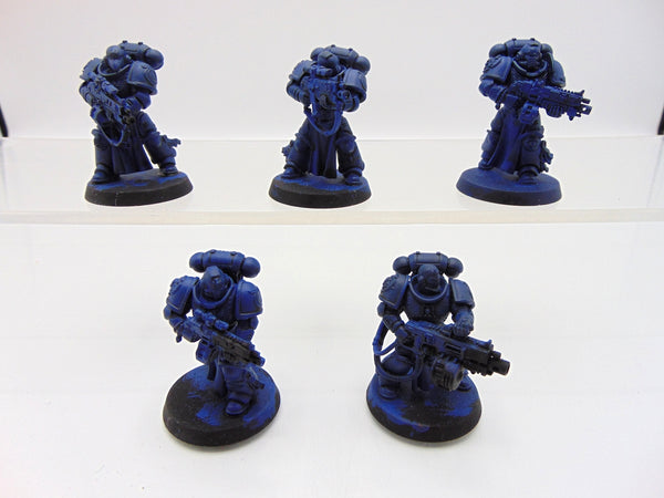 Sternguard Veterans