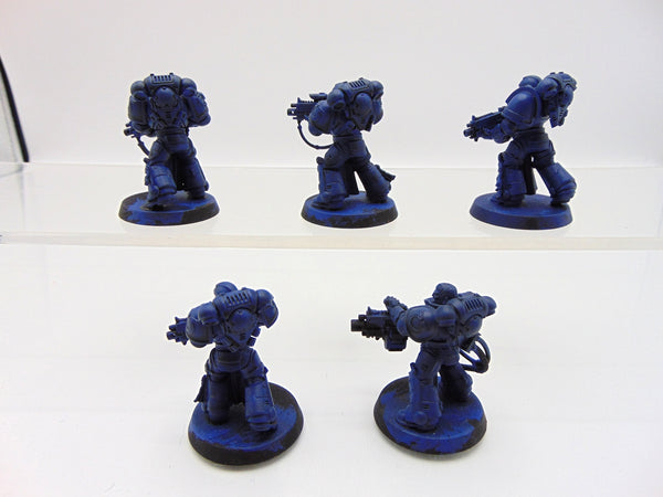 Sternguard Veterans