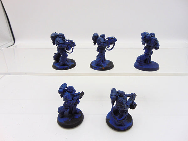 Sternguard Veterans