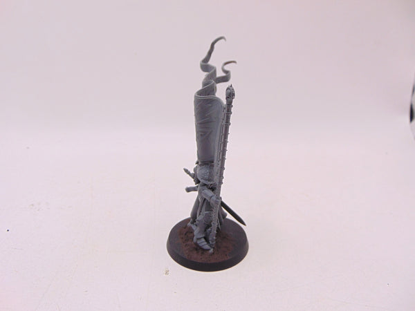 Knight Vexillor with Banner of Apotheosis