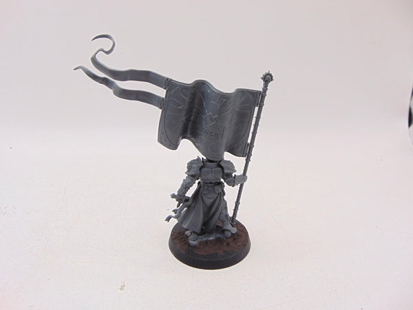 Knight Vexillor with Banner of Apotheosis