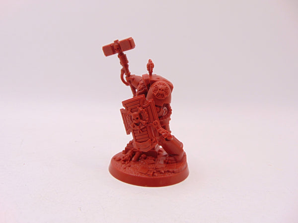 Brother Sergeant Victorno / Angelus