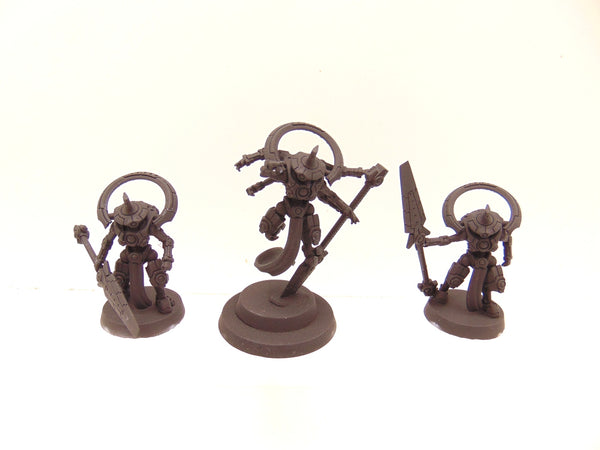 Cardinal Fish Goby Frame